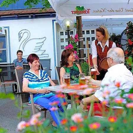 Schwanen 3* Kehl